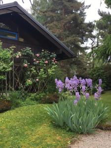 Chalets Le Fayard vue Lac : photos des chambres