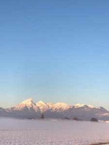 Farmhouse Apartment Happy Cow