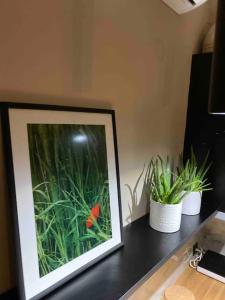 Dream home Serres romantic living