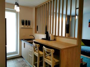 Modern Studio Coresi Residence