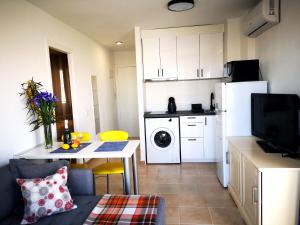 Sunny apartment with 2 terraces