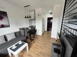 Apartment 55 Belgrade