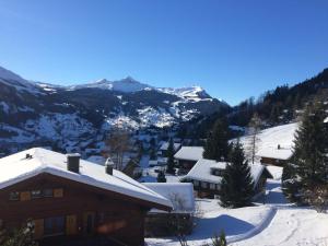 Grindelwald-Sunneblick