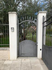 Nonna Nesti