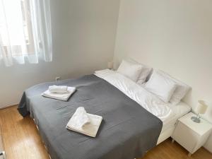 BDA Centre Apartment Budapest