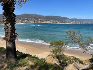 Charmant T2 à Bormes-les-Mimosas, proche plage et commerces, parking inclus, animaux acceptés - FR-1-610-82