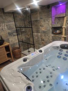 Nuit de la sagesse "jacuzzi terrasse et parking privé"