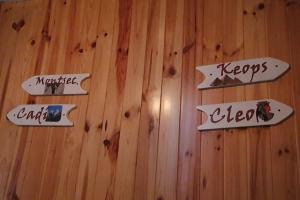 Cal Curpets - Bicicletas FREE