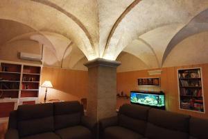 Cal Curpets - Bicicletas FREE