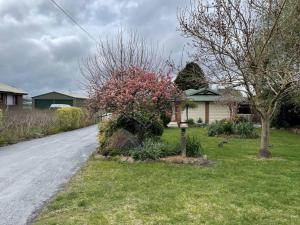The Scotty House - EV and pet friendly