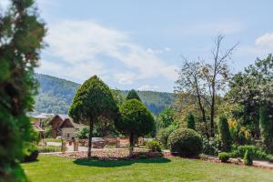 Hotel Velyka Vedmedytsya