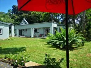 The Tree Of Idleness Guesthouse - Trafalgar