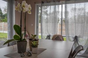 Kokana modern holiday home