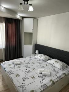 Apartament 3 Central