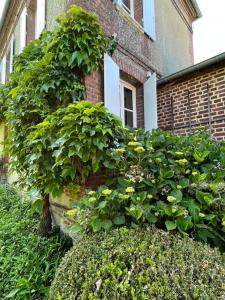 Villas ‘L’ editeur’ - Maison de Maitre Honfleuraise. : photos des chambres