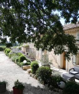 Maisons de vacances Le Mas de la Javone : photos des chambres