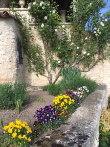 Maisons d'hotes Domaine La Lauren avec piscine chauffee et jacuzzi : photos des chambres