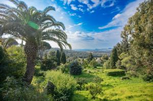 Appartements Suite Tropez, Residence de prestige : photos des chambres