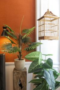 Olivier Design Apartments - Downtown Lisbon - no lift