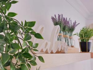 Nice and Cozy Studio at the Beachfront