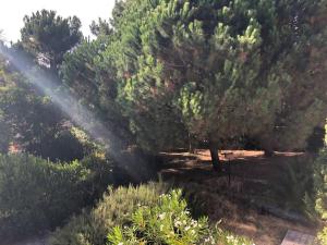 Villa Arethuse - Pyla sur Mer