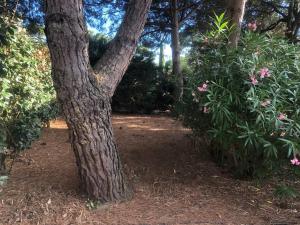 Villa Arethuse - Pyla sur Mer