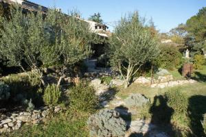 Maisons de vacances l'Arbre du Magnan : photos des chambres