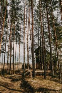 Viking house in the tree! Jacuzzi, Sauna,apkure!