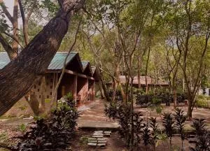 Dancing Dugong - Sabari