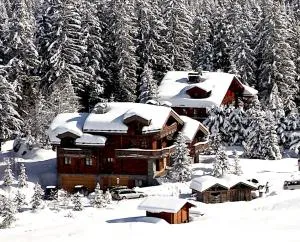 Chalet Kiriolé - Planay