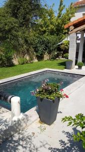 MAS DE VILLE AVEC PISCINE DANS SON COCON DE VERDURE - ESPRIT INDUSTRIEL