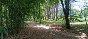 Magnifique villa 5 etoiles avec piscine privee parc 2 ha