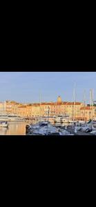 Maisons de vacances LA DOLCE VITA MAZET A GASSIN GOLFE DE SAINT TROPEZ : photos des chambres