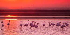 Cabras, Vacanze A Due Passi Dal Mare img44