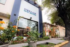 Dreams Hotel Boutique - La Apacheta