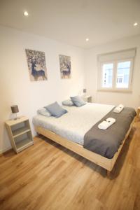 Oriente DNA Studios X