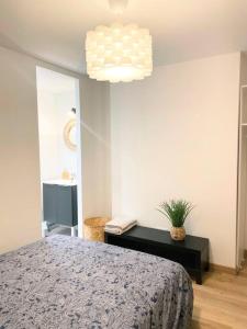 Appartements / Cocon \ paisible hyper centre RODEZ : photos des chambres