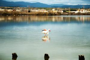 Villa SALMAGI - Sardegna img45