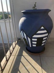 Dare to dream at Flamingo