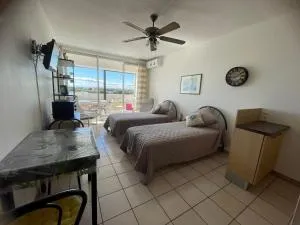 Charmant T2 avec balcon, clim et animaux admis à Balaruc-les-Bains - FR-1-503-85 - 巴拉吕克莱班