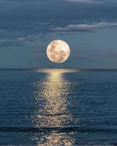 Escapate mirando el Mar Beach Front Apt Playas Ecu