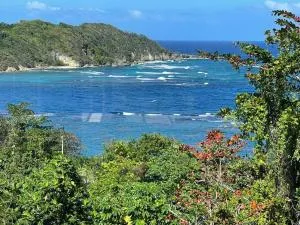 TheDream StMary - Nonsuch