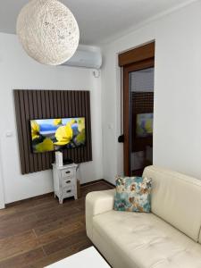 Monako Luxury Apartment