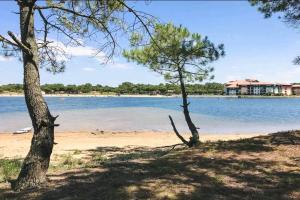 Maisons de vacances Chez Pauline et Pierre : photos des chambres