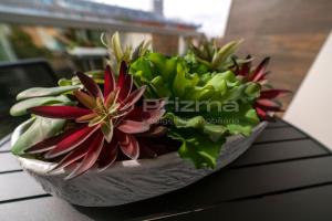 Mario Guilherme - Apto 202 - Lindo apartamento condomínio de alto padrão com piscina e academia.