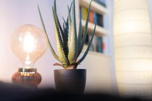 Seaside Home in Stonehaven, Aberdeenshire