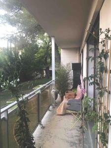 Appartements Les Cerisiers. : photos des chambres