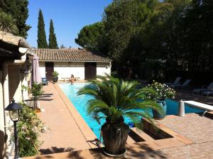 B&B / Chambres d'hotes De la suite dans les oliviers : photos des chambres