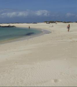 Apartamentos Albaula 5