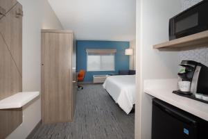 Standard King Room room in Holiday Inn Express Hotel & Suites Idaho Falls an IHG Hotel